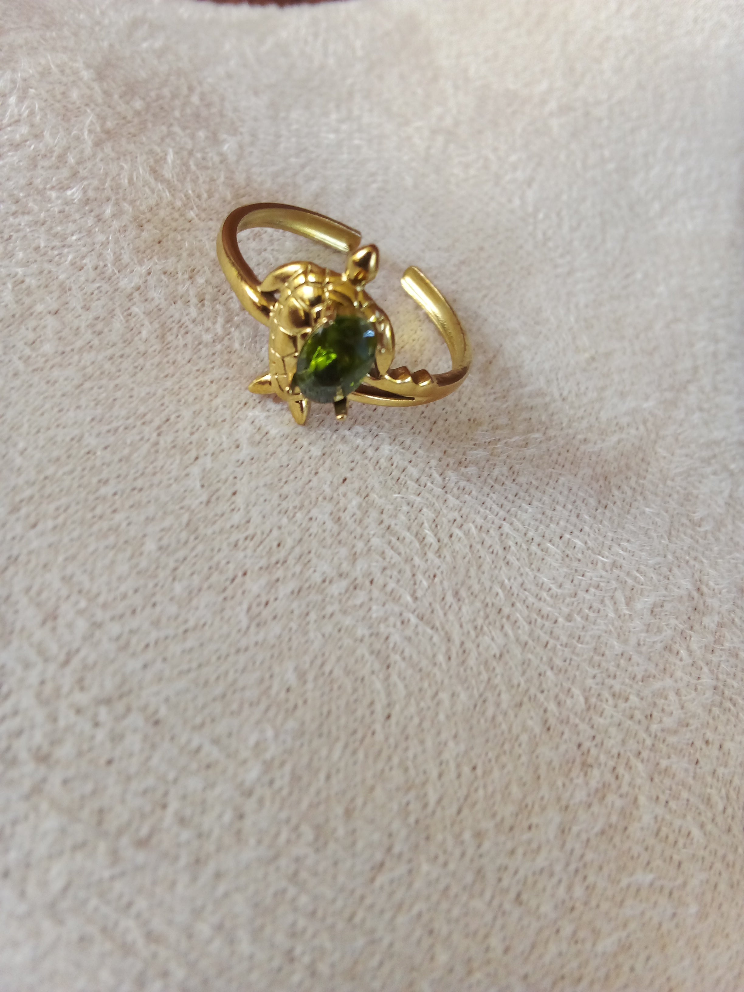 Bague acier inoxydable tortue