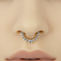 Septum or gros plan